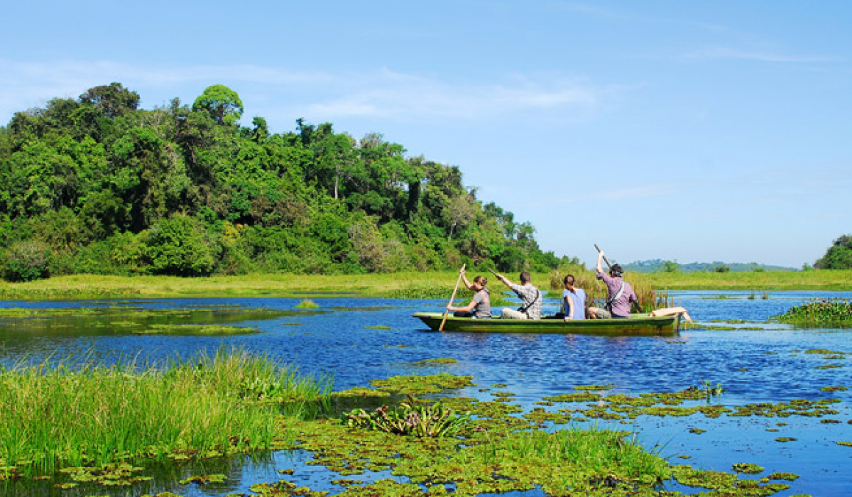 NAM CÁT TIÊN - HÀNH TRÌNH VỀ VỚI RỪNG XANH