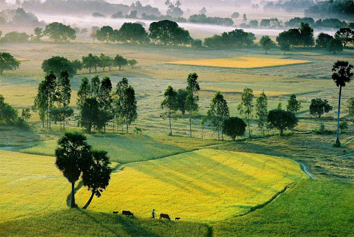 Mỹ Tho - Bến Tre - Rạch Giá - Cà Mau - Bạc Liêu - Sóc Trăng- Cần Thơ